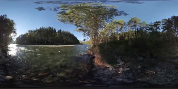 4k 360 Vr Virtual Reality av en flod rinner över stenar i denna vackra skog — Stockvideo