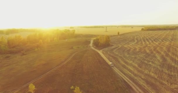 UHD 4K vista aérea. Vôo médio sobre campo rural amarelo e estrada de terra — Vídeo de Stock