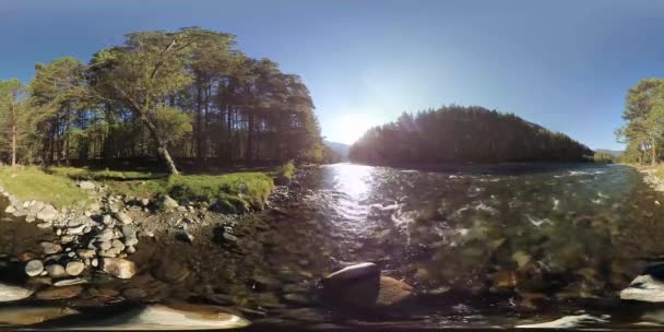 4K 360 VR La realtà virtuale di un fiume scorre sulle rocce in questa bellissima foresta — Video Stock