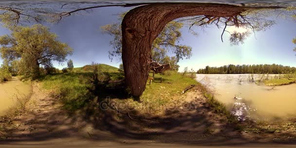 UHD 4K 360 VR La réalité virtuelle d'une rivière coule sur des rochers dans un magnifique paysage de forêt de montagne — Video