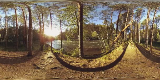 UHD 4K 360 VR La realidad virtual de un río fluye sobre rocas en un hermoso paisaje de bosque de montaña — Vídeos de Stock