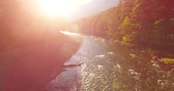 Mittlerer Luftflug über einen frischen und sauberen Gebirgsfluss an einem sonnigen Sommermorgen — Stockvideo