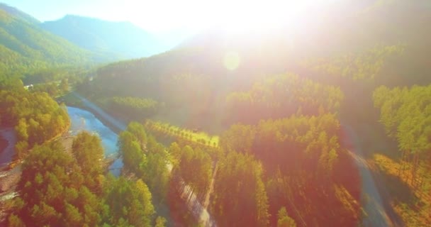 맑은 여름 아침에는 신선 한산의 강 과 초원을 비행하는 공기 가희 박하다. 아래에 있는 시골 흙길. — 비디오