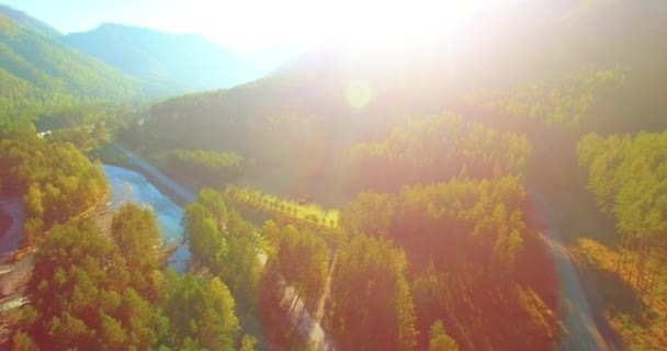 Vôo a meio do ar sobre o rio e o prado frescos da montanha na manhã ensolarada do verão. Estrada de terra rural abaixo. — Vídeo de Stock