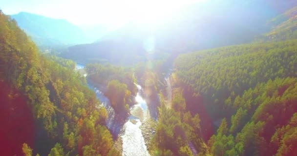 Vôo a meio do ar sobre o rio e o prado frescos da montanha na manhã ensolarada do verão. Estrada de terra rural abaixo. — Vídeo de Stock