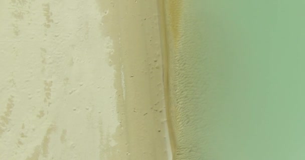 Vue aérienne UHD 4K. Survol d'une rivière de montagne fraîche. Vue verticale et mouvement horizontal 