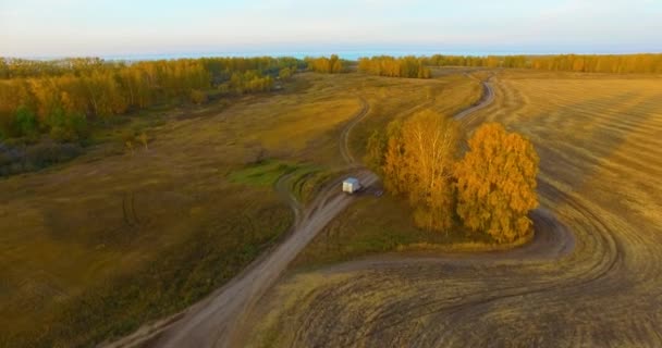 UHD 4K vista aérea. Vôo médio sobre campo rural amarelo e estrada de terra — Vídeo de Stock