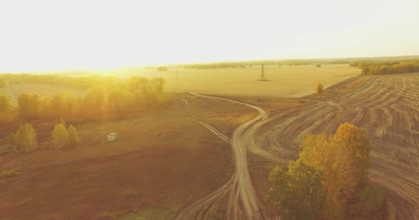 Vista aerea UHD 4K. Volo a mezz'aria su campo giallo rurale e strada sterrata — Video Stock