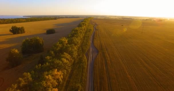 UHD 4K vista aérea. Bajo vuelo sobre el campo rural de trigo verde y amarillo y la línea de árboles — Vídeos de Stock