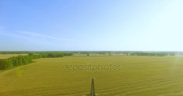 Verticale bewegingsvlucht in de buurt van hoogspanningstoren en hoogspanningsleidingen op groen en geel veld — Stockvideo