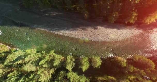 Midden in de lucht vlucht over frisse en schone bergrivier op zonnige zomerochtend. Verticale beweging — Stockvideo