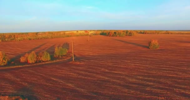 UHD 4K vista aérea. Vuelo en el aire sobre el campo rural amarillo — Vídeos de Stock