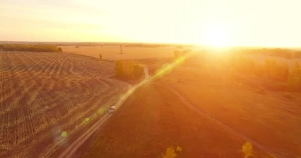 UHD 4K vanuit de lucht gezien. Midden-luchtvlucht over geel landelijk veld en onverharde weg — Stockvideo