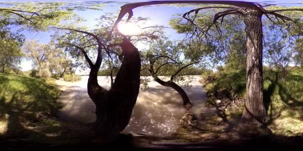 UHD 4K 360 VR Virtual Reality of a river flows over rocks in beautiful mountain forest landscape — Stock Video