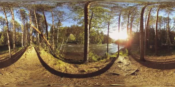 UHD 4K 360 VR La realtà virtuale di un fiume scorre sulle rocce in un bellissimo paesaggio forestale di montagna — Video Stock