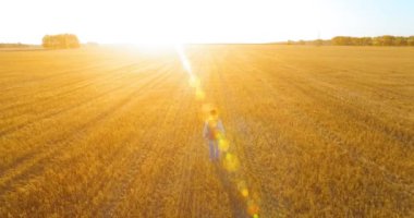 Bir büyük buğday tarlada yürüyen genç adam turist üzerinde düşük uçuş