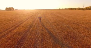 Düşük uçuş bir büyük buğday tarlada yürüyen genç adam turist üzerinde. Eller yukarı, kazanan, mutlu ve özgürlük kavramı.
