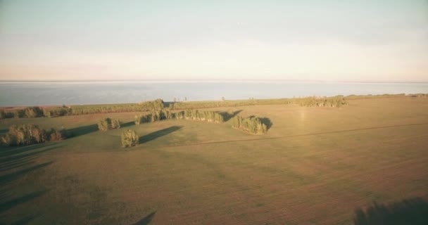 Vista aérea de 4k. Bajo vuelo sobre campo rural de trigo verde y amarillo . — Vídeo de stock