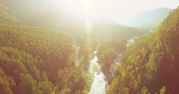 Mittlerer Luftflug über frischem Gebirgsfluss und Wiese am sonnigen Sommermorgen. Schotterpiste unten. — Stockvideo