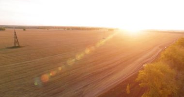 UHD 4K hava görüntüsü. Sarı kırsal alan ve toprak yol üzerinde orta-uçuş
