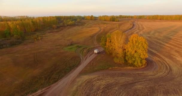 UHD 4K vista aérea. Vôo médio sobre campo rural amarelo e estrada de terra — Vídeo de Stock