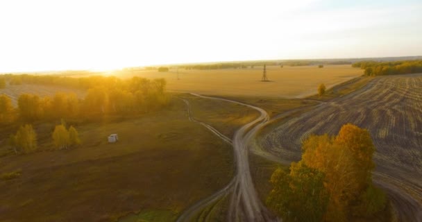 UHD 4K vanuit de lucht gezien. Midden-luchtvlucht over geel landelijk veld en onverharde weg — Stockvideo