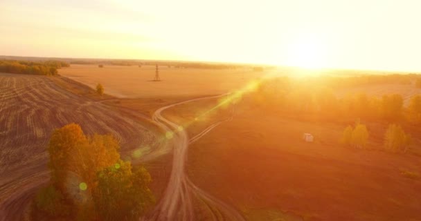 UHD 4K vanuit de lucht gezien. Midden-luchtvlucht over geel landelijk veld en onverharde weg — Stockvideo