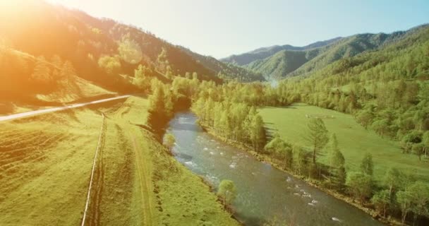 Mid-air flight over fresh mountain river and meadow at sunny summer morning. Rural dirt road below. — Stock Video