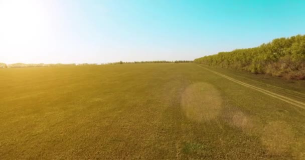 Vista aérea de 4k. Bajo vuelo sobre campo rural de trigo verde y amarillo . — Vídeo de stock