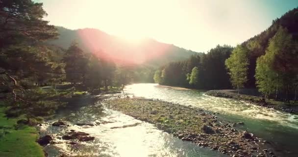 4k uhd Luftaufnahme. Tiefflug über den frischen kalten Gebirgsfluss am sonnigen Sommermorgen. — Stockvideo