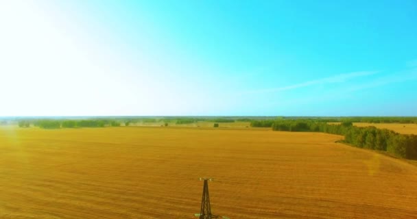 Vuelo de movimiento vertical cerca de la torre de alta tensión y líneas eléctricas en el campo verde y amarillo — Vídeos de Stock