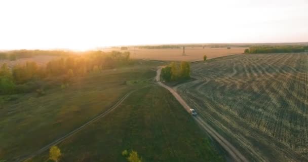 Vista aerea UHD 4K. Volo a mezz'aria su campo giallo rurale e strada sterrata — Video Stock