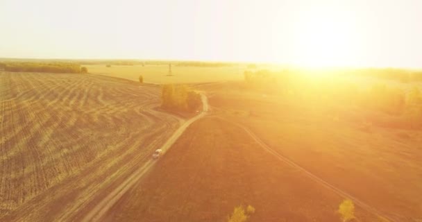 UHD 4K vista aérea. Vuelo en medio del aire sobre campo rural amarillo y camino de tierra — Vídeos de Stock