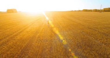 Düşük uçuş bir büyük buğday tarlada yürüyen genç adam turist üzerinde. Eller yukarı, kazanan, mutlu ve özgürlük kavramı.