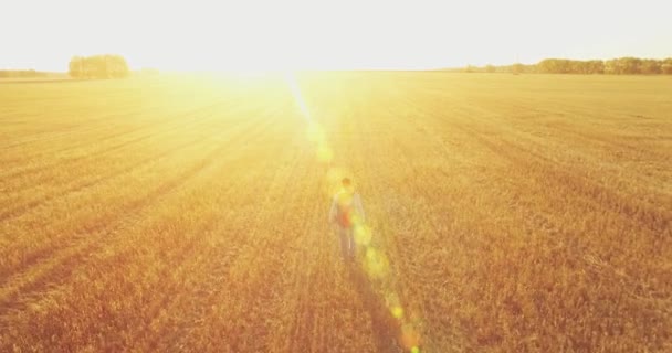 Bajo vuelo sobre joven turista caminando a través de un enorme campo de trigo — Vídeo de stock