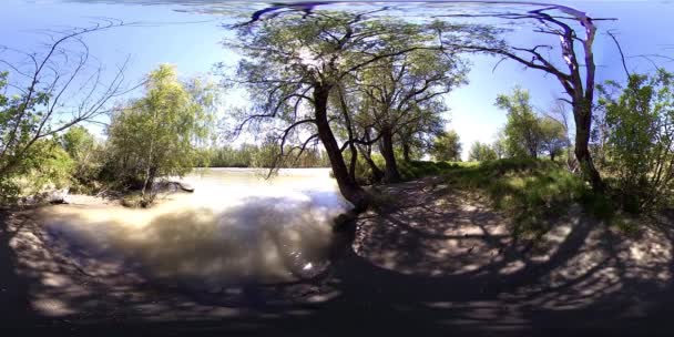 Віртуальна реальність річки UHD 4K 360 VR тече через скелі в прекрасному гірському лісі. — стокове відео