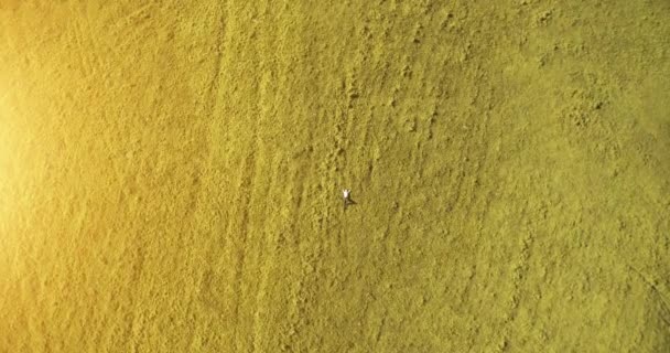 De vlucht van de verticale beweging over zakenman liggen op verse groene weide. Bovenaanzicht op ontspannen man. — Stockvideo