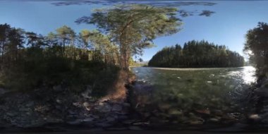 4k 360 Vr sanal gerçeklik bir nehir akar bu güzel orman kayalarda üzerinde