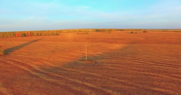 UHD 4K aerial view. Mid-air flight over yellow rural field — Stock Video