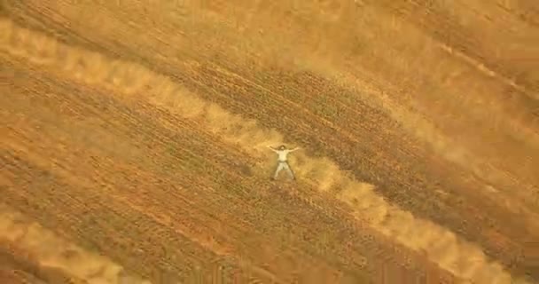 Aerial view. Vertical motion flight over man lying on yellow wheat field — Stock Video