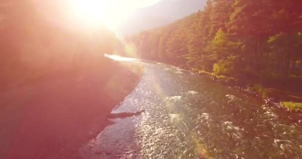 Mid air-vlucht over vers en schoon berg rivier op zonnige Zomerochtend — Stockvideo