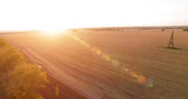 UHD 4K hava görüntüsü. Sarı kırsal alan ve toprak yol üzerinde orta-uçuş