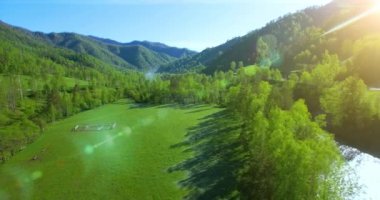 Taze dağ nehir ve güneşli yaz sabahı, çayır üzerinde havada uçuş. Kırsal toprak yol aşağıdaki.