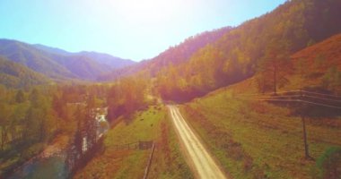 Taze dağ nehir ve çayır güneşli yaz sabahı, orta hava uçuş. Kırsal toprak yol aşağıda. İnek ve araba.