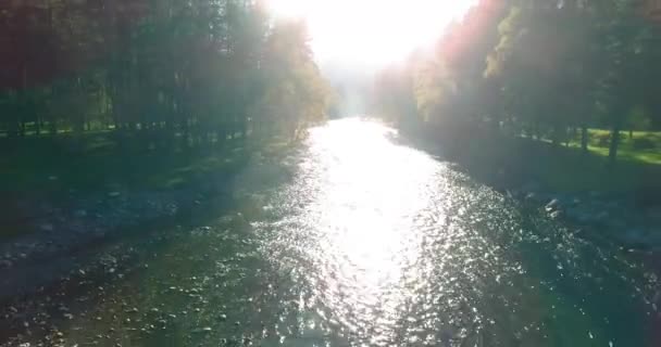 Vuelo en medio del aire sobre un río de montaña fresco y limpio en la soleada mañana de verano — Vídeo de stock