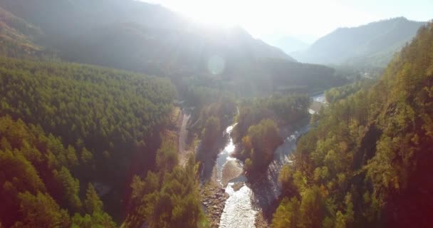 Vôo a meio do ar sobre o rio e o prado frescos da montanha na manhã ensolarada do verão. Estrada de terra rural abaixo. — Vídeo de Stock