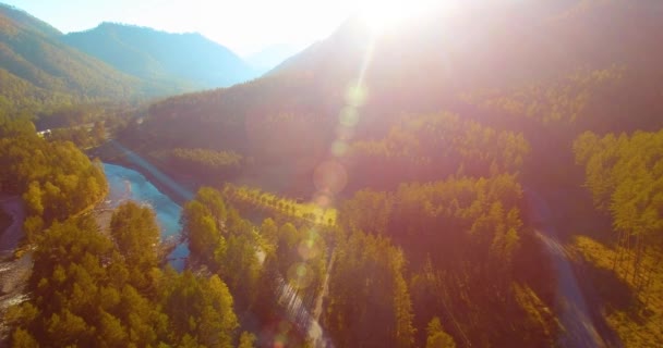 Vuelo en medio del aire sobre el río fresco de la montaña y el prado en la soleada mañana de verano. Camino de tierra rural abajo. — Vídeo de stock