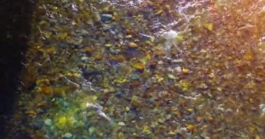 Güneşli yaz sabahında temiz ve taze bir dağ nehri üzerinde uçuşun ortasındayız. Üst görünüm ve yatay hareket