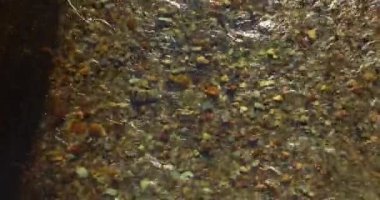 Güneşli yaz sabahında temiz ve taze bir dağ nehri üzerinde uçuşun ortasındayız. Üst görünüm ve yatay hareket