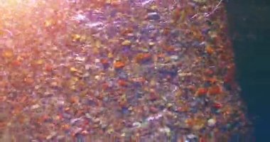 Güneşli yaz sabahında temiz ve taze bir dağ nehri üzerinde uçuşun ortasındayız. Üst görünüm ve yatay hareket